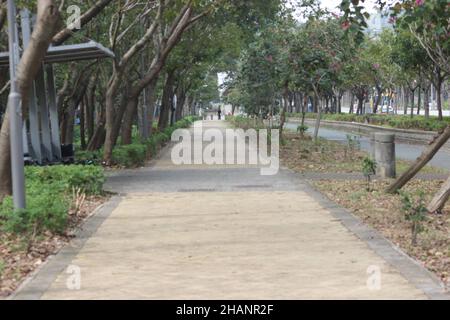 Vue sur le trottoir vide avec arbres. Banque D'Images