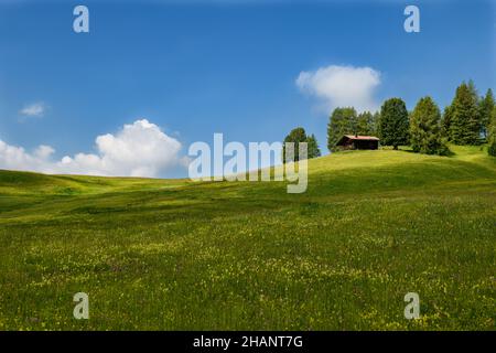 Une petite cabane alpine sur une prairie verte en pente douce avec un ciel bleu vif et quelques nuages fleuruns. Banque D'Images