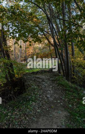 Petit vieux pont en pierre pour passer au-dessus du cours d'eau en automne Banque D'Images