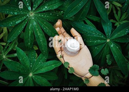 Cosmétiques naturels, crème sur, podium de main en bois, plantes vertes Banque D'Images