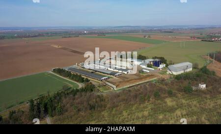 Vaches laitières alimentant la grange dron vidéo aérienne, grands champs de ferme agricole intensive activité agricole, les vaches mangent de haute qualité Banque D'Images