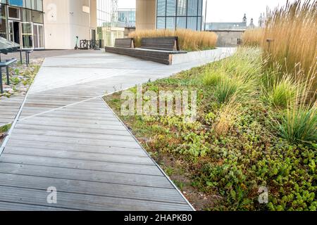 Aménagement urbain moderne avec allées en bois, plantes vertes et fleurs près d'un immeuble de bureaux moderne Banque D'Images