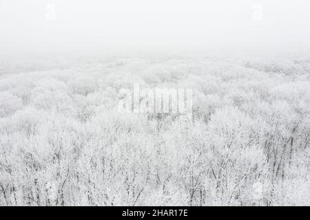 Forêt d'hiver couverte de neige et de gel, paysage aérien Banque D'Images
