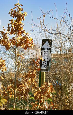 Detroit, Michigan - Un panneau de route à sens unique dans un jardin. Banque D'Images