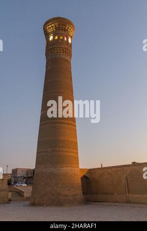 Vue en soirée sur le minaret de Kalan à Boukhara, Ouzbékistan Banque D'Images