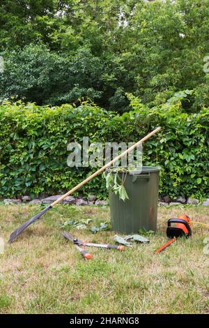 Les outils de taille de haies et le râteau à feuilles se penchent contre le bac de collecte dans la cour résidentielle en été. Banque D'Images