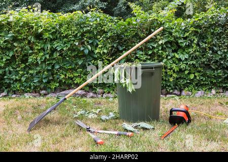 Les outils de taille de haies et le râteau à feuilles se penchent contre le bac de collecte dans la cour résidentielle en été. Banque D'Images