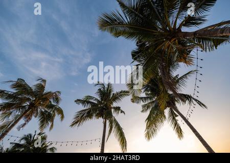 Plage de Najomtien Pattaya Thaïlande, coucher de soleil sur une plage tropicale avec palmiers.Pattaya Thaïlande Banque D'Images