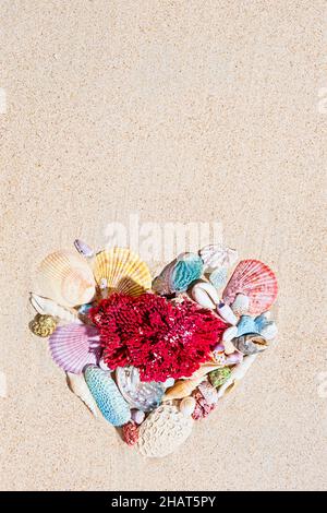 Coraux rouges et coquillages colorés sur sable fin blanc pur de plage en forme de coeur.Vue de dessus, plan d'appartement Banque D'Images