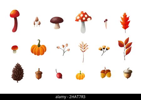 Ensemble d'éléments d'illustration d'automne, feuilles séchées, champignons, pins et noix sur fond blanc.Concept de jour de Thanksgiving Banque D'Images