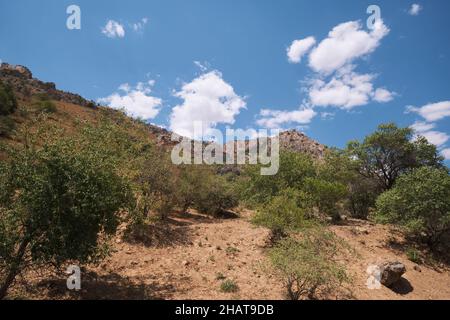 Le terrain sec et escarpé avec le gommage pendant l'été chaud.Dans la région du réservoir du lac Charvak près de Tachkent, Ouzbékistan. Banque D'Images