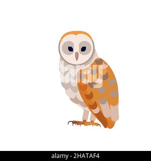 Hibou de la grange avec face blanche et ailes brunes, vue latérale.Oiseau de forêt sauvage.Carnivore Hunter Bird Cartoon plat style caractère d'ornithologie, vecteur Illustration de Vecteur