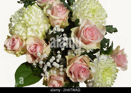 Gros plan sur un bouquet de fleurs (rose, sophila, chrysanthème) sur fond blanc.Pays-Bas, Banque D'Images