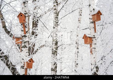 Maisons d'oiseaux en bois faites maison sur un arbre dans un parc d'hiver Banque D'Images