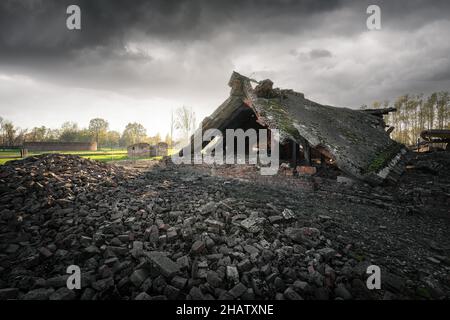 Ruines de la chambre de crémation et de gaz II à Auschwitz II - Birkenau, ancien camp allemand de concentration et d'extermination nazi - Pologne Banque D'Images