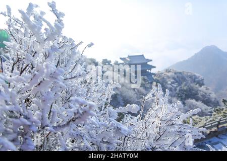 Jinan, province chinoise de Shandong.14th décembre 2021.Photos montrant des arbres couverts de rime à Taishan Mountain à Tai'an, province de Shandong, en Chine orientale, 14 décembre 2021.Credit: Cheng Xianhao/Xinhua/Alay Live News Banque D'Images