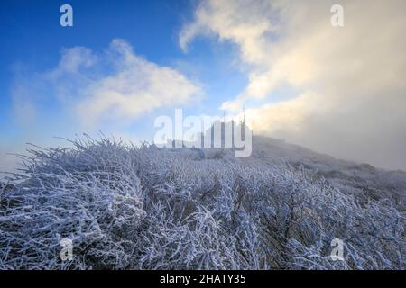 Jinan, province chinoise de Shandong.14th décembre 2021.Photos montrant des arbres couverts de rime à Taishan Mountain à Tai'an, province de Shandong, en Chine orientale, 14 décembre 2021.Credit: Cheng Xianhao/Xinhua/Alay Live News Banque D'Images