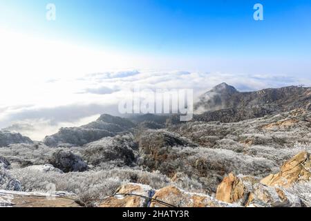 Jinan, province chinoise de Shandong.14th décembre 2021.Photos montrant des arbres couverts de rime à Taishan Mountain à Tai'an, province de Shandong, en Chine orientale, 14 décembre 2021.Credit: Cheng Xianhao/Xinhua/Alay Live News Banque D'Images