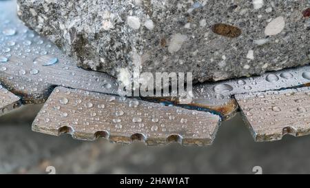 Gros plan des segments diamantés de la lame de scie avec gouttes d'eau et morceau d'un carreau gris.Disque de coupe en acier tranchant de l'outil électrique pour la coupe à l'eau du béton, de la brique. Banque D'Images