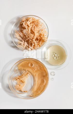 Laboratoire cosmétique abstrait.Cosmétiques nature avec mousse de mer.Recherche en laboratoire chimique. Banque D'Images