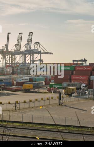 Camion déplacer des conteneurs autour du terminal Trinity au port de Felixstowe en novembre 2021, le matin d'hiver. Banque D'Images
