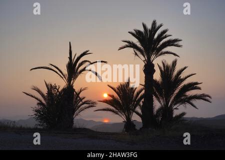 Le soleil se reflète dans la mer avec des palmiers au lever du soleil sur la côte près de San Juan de los Terreros, baie avec palmiers rétroéclairés, San Juan de los Banque D'Images