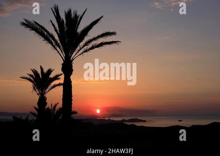 Palmiers au lever du soleil sur la côte près de San Juan de los Terreros, baie avec palmiers au contre-jour, San Juan de los Terreros, Andalousie, Espagne Banque D'Images