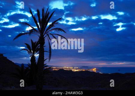 Palmiers au lever du soleil sur la côte près de San Juan de los Terreros, baie avec palmiers au contre-jour, San Juan de los Terreros, Andalousie, Espagne Banque D'Images