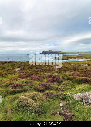 Point de vue Clogher Head, vue sur la côte atlantique, Plage de Clogher, Sybil point, les trois Sœurs à l'horizon, promenade panoramique Slea Head, Dingle Banque D'Images