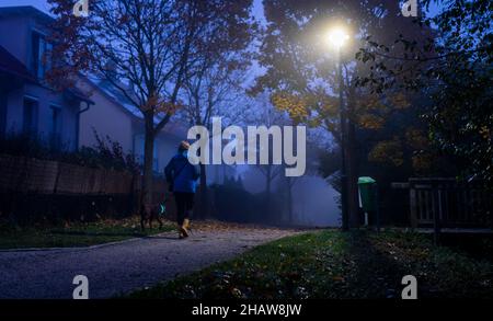 Une femme marche son chien à travers un parc solitaire à Markt Swabia, Bavière, Allemagne, dans un matin d'automne sombre et froid Banque D'Images