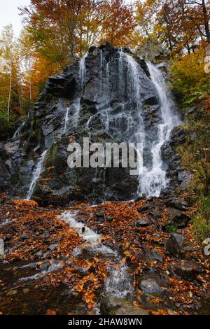 Cascade de Radau en automne, Radautal, Bad Harzburg, montagnes de Harz, Basse-Saxe,Allemagne Banque D'Images