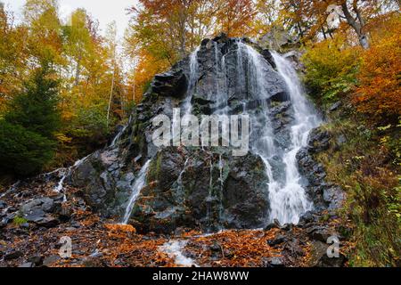 Cascade de Radau en automne, Radautal, Bad Harzburg, montagnes de Harz, Basse-Saxe,Allemagne Banque D'Images