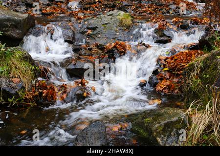 Cascade de Radau en automne, Radautal, Bad Harzburg, montagnes de Harz, Basse-Saxe,Allemagne Banque D'Images