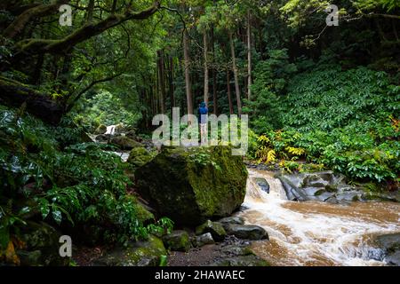 Photographe sur le sentier de randonnée à travers la forêt de type jungle jusqu'à la cascade Salto do Prego, Faial da Terra, île de Sao Miguel, Açores, Portugal Banque D'Images