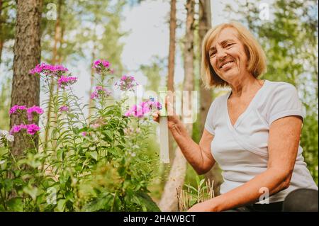 Aînées jardinier agricole femme s'occupant des fleurs dans le jardin d'été à la campagne à l'extérieur, vaporise les plantes à fleurs à l'aide de pulvérisateur d'eau. Agriculture, jardinage, agriculture, personnes âgées à la retraite Banque D'Images