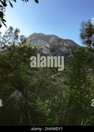 Vue sur la montagne dans la forêt et le Bush à Kabak Mugla Turquie Banque D'Images