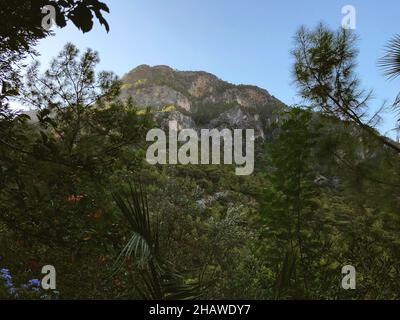 Vue sur la montagne dans la forêt et le Bush dans la vallée de Kabak Mugla Turquie Banque D'Images