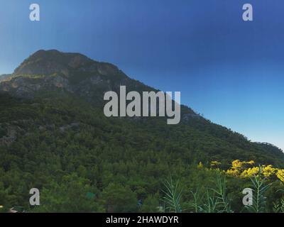 Vue sur la montagne dans la forêt dans la vallée de Kabak Mugla Turquie Banque D'Images