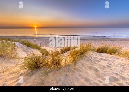 Coucher de soleil vue sur l'océan depuis la dune sur la mer du Nord et le canal à Ouddorp, province de Zélande, pays-Bas. Scène extérieure de la côte dans la nature de l'Europe. Banque D'Images