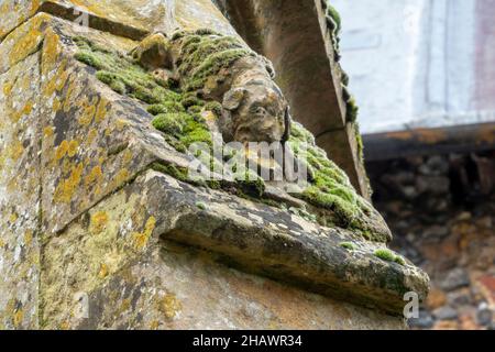 Embellissement d'un chien sculpté sur une partie d'un contrefort avec des fusts de flanelle à l'église de Sainte Marie de l'Assomption, Ufford, Suffolk, Royaume-Uni Banque D'Images