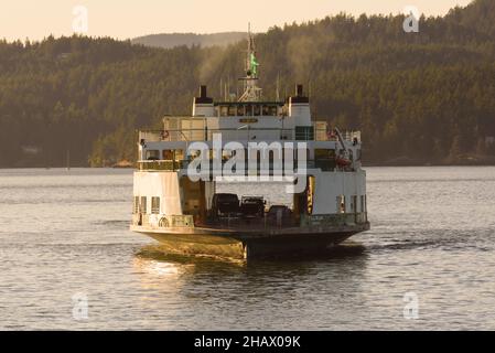 San Juan Islands, WA, États-Unis - 22 juin 2017 ; le Washington State car Ferry Tillikum dessert les îles San Juan tandis que le soleil couchant illumine le côté Banque D'Images