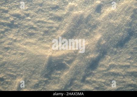 Texture inégale de la neige dans la lumière du coucher du soleil. Banque D'Images