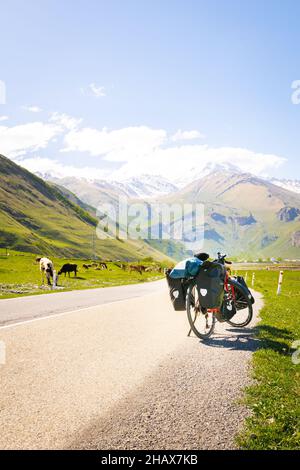 Chargé de sacs, il y a des stands de vélo rouges sur le côté de la route, surmontés par des vaches dans une campagne du parc national de Kazbegi.Vacances à vélo. Banque D'Images