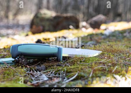 Couteau de tourisme couché sur la mousse.Journée ensoleillée dans la forêt.Couteau à lame fixe. Banque D'Images