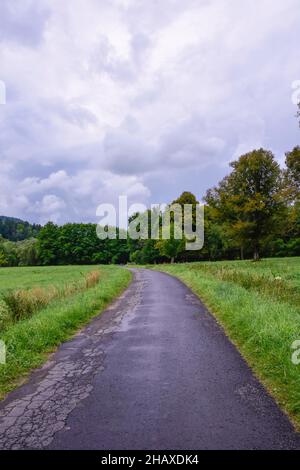 Bieszczady montagnes, magnifique paysage naturel pendant un après-midi d'été sous la pluie. Banque D'Images