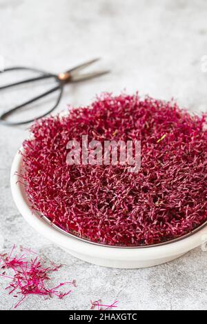 Amaranth micro herbes.Micro-verts de sroutage.Germination des graines à la maison.Vegan et concept de saine alimentation.Graines d'amaranth germées, micro verts.Growi Banque D'Images