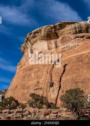 Canyon Walls, D4 Loop Trail, Fruita Front Country, McInnis Canyons National conservation Area près de Fruita, Colorado. Banque D'Images