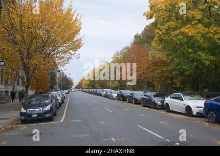 Couleurs d'automne le long de Prospect Park West la rue qui longe le côté ouest de Prospect Park dans le quartier Park Slope de Brooklyn, New York. Banque D'Images