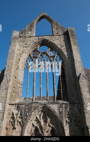 Ruin,Ruins,at,Famous,Tintern,Tintern Abbey,Wales,Welsh,UK,United Kingdom,Great Britain,Britain,British,UK,United Kingdom,Europe,EuropeanTintern Abbey a été fondé le 9 mai 1131 par Walter de Clare, Lord of Chepstow.Il est situé à côté du village de Tintern dans le Monbucshire, sur la rive galloise de la rivière Wye, qui à cet endroit forme la frontière entre le Monbucshire au pays de Galles et le Gloucestershire en Angleterre. Banque D'Images