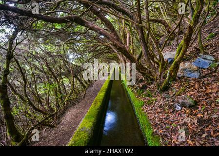 Levada dos 25 fontes, Madère, Portugal Banque D'Images